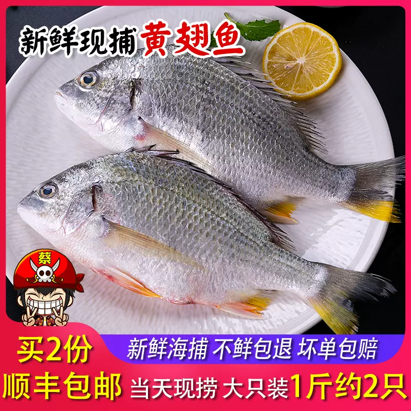 海鮮水產新鮮深海魚大黃翅魚當天捕撈黃鰭鯛鮮活黃腳立1只約半斤 Taobao