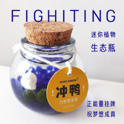 Palm Garden Seaweed Ball Eco Bottle Desktop Pet