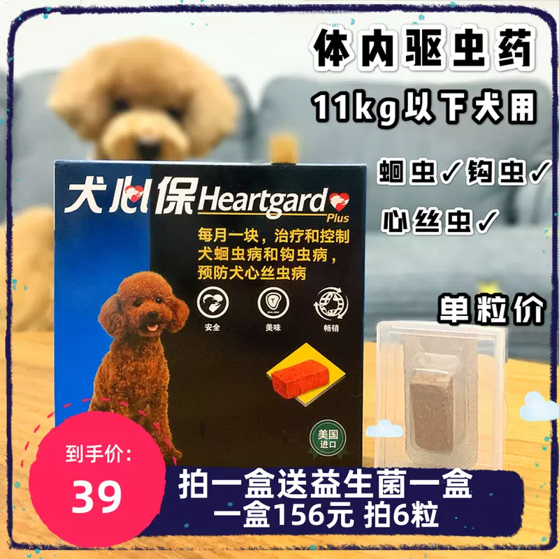 Dt宠物 法国犬心保小型犬狗狗体内驱虫药心丝