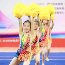 New Gymnastics Suits, Aerobics Suits, Professional Competition Performance Suits, Dance Suits, Cheerleading Performance Suits, Performance Suits