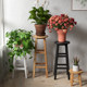 Log wood black and white garden stool indoor solid wood reinforced high-leg flower table gardening flower stand installation bar high stool