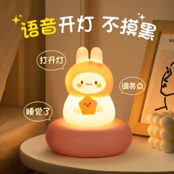 Voice-Activated Night Light, Bedroom Sleep Light, Baby Feeding Light, Children's Eye Protection Light, Postpartum Light, Cartoon Bedside Lamp