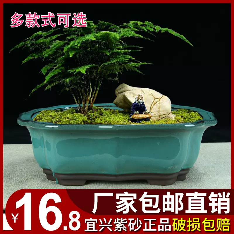 宜兴紫砂花盆中小号圆口多肉菖蒲盆景盆特价清仓中国风陶瓷花盆