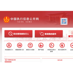 Case Query, Search for Court Documents, Case Execution Information,失信被执行人, Restrictions on Consumption, Person Search
