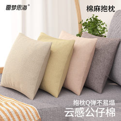Sofa Cushion, Living Room, Light Luxury, High-End Feel, Cushion, High-End Cotton, Square, Modern, Simple, Lumbar Support, Large Size