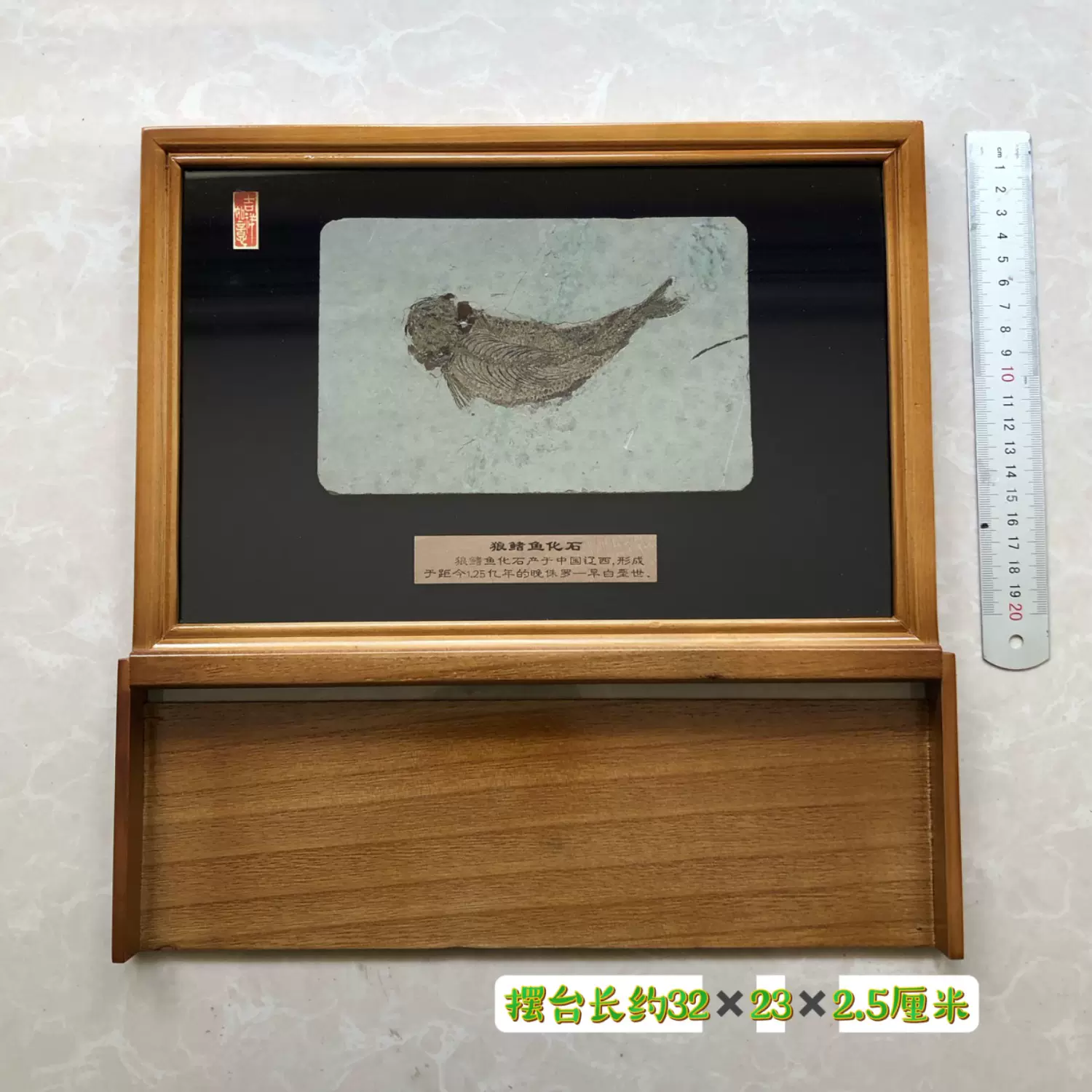 新款金刚山单条鱼化石辽西古生物化石科普朝阳标本原石礼品收藏级-Taobao