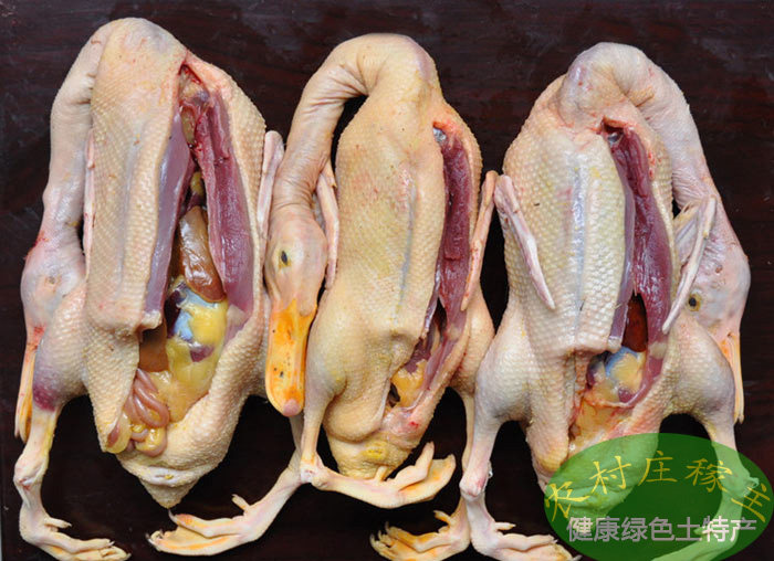 宰杀好的土番鸭,麻鸭!