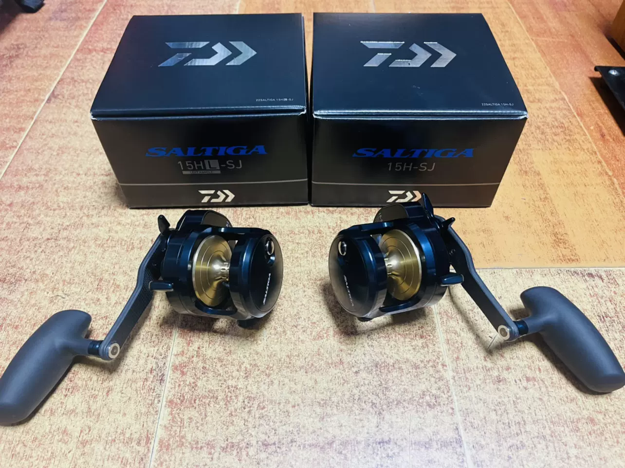 Daiwa 15H-SJ 22 Saltiga Bait Reel (2022 Model) : : Sports