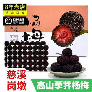
Authentic Ningbo Cixi Yuyao Alpine Bayberry Fresh Pregnant Women Seasonal Fresh Fruit Black Charcoal Zhejiang Fruit Gift Box