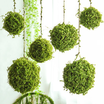 Scenery, suspension, sky hanging grasses garden
