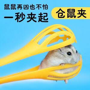 Hamster clip grabbing the mouse clip hamster gold silk bear life interactive toy products landscaping mouse catcher
