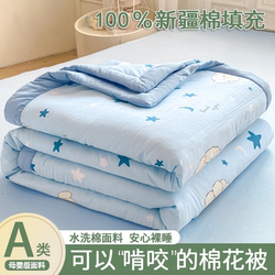100% Xinjiang Cotton Quilt, Summer Cooling Quilt, 2025 New Model, Air Conditioning Quilt, Summer All-Cotton Pure Cotton, Machine Washable, Thin Air Conditioning Quilt