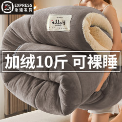 Milk Lamb Wool Blanket, Thickened and Warm, Winter Quilt, Nap Blanket, Sofa Cover Blanket, Quilt Core, Cotton Quilt, Winter Quilt, Spring and Autumn Quilt