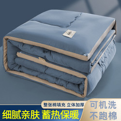 Class a Quilt Core, Warm Winter Quilt, Student Dormitory Single Spring and Autumn Quilt, Suitable for All Seasons, Thickened Cotton Quilt for Winter