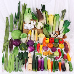 Simulated Vegetable and Fruit Models, Fake Green Vegetables, Red Peppers, Plastic Foam Corn, Radish, Pumpkin, Decorative Ornaments and Props