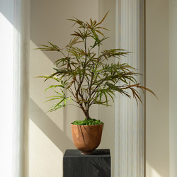 Colorful Gradient Peacock Wood Fortune Tree Artificial Green Plant High-End Decorative Ornament Fake Flower Small Potted Plant for Vintage Tea Room