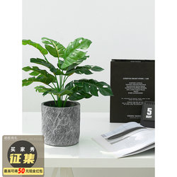 Artificial Plant Small Potted Ornament Green Plant Nordic ins Trendy Monstera Fake Plant Decoration Home Decor