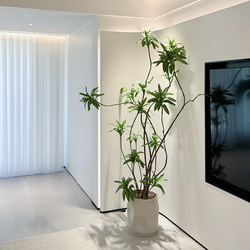 Haohongjingpin Lily Bamboo Artificial Green Plant Indoor Living Room Simulated Tree High-End Light Luxury Flower Large Floor-Standing Potted Plant