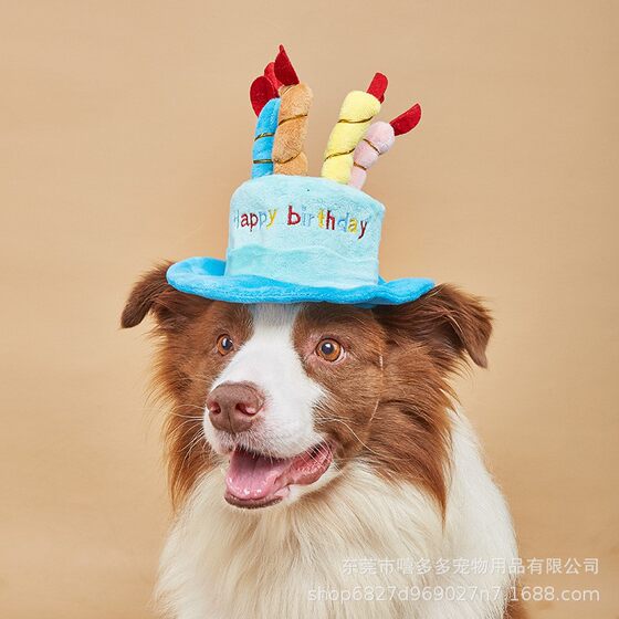 
Pet birthday hat toys cat dog new year gift toys Amazon hot new model
