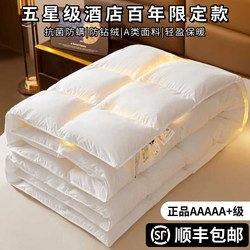 Authentic down Quilt, White Goose down Quilt, Winter Quilt, Thickened and Warm, Five-Star Hotel Winter and Spring/Autumn Quilt, Quilt Core