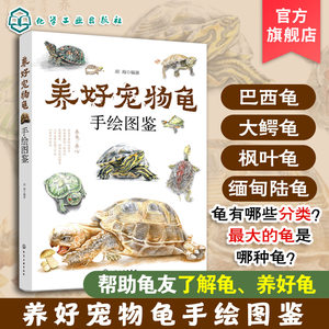 Genuine raising pet turtle hand -drawn drawing 45 pet turtle turtles Brazilian turtle turtle yellow -ear big crocodile black boots characteristics Living environment Establish feeding method Breeding turtle disease prevention and breeding pet turtle guidance reference book books