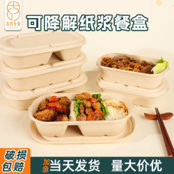 Disposable Lunch Boxes, Environmentally Friendly and Biodegradable, Single and Double Compartment Food-Grade Pulp Lunch Boxes with Lids for Fruit Salad
