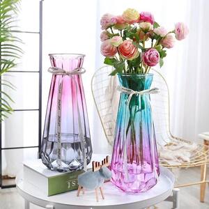 
Glass vase transparent water-growing rich bamboo lily vase decoration living room flower arrangement dried flowers Nordic home