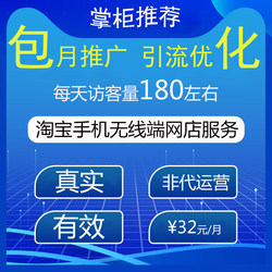 Taobao, Tmall, Alibaba, Pinduoduo Online Store Independent Promotion Guidance and Optimization Monthly Service Package, Hosting and Operation Management