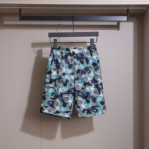 
Brother Sheng’s home benefits for babies! Quick-drying and breathable boys’ summer casual shorts playing with beach pants at the beach