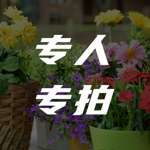 
Special person special auction link (no platform discount is available)