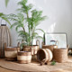 Nordic rattan woven straw flower pots, green plants, floor-standing large set of pots, woven flower baskets, high-end light luxury home decoration baskets