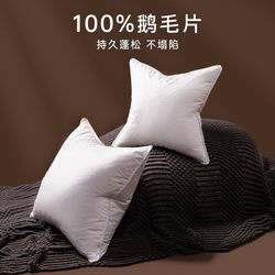 Goose down Pillow Insert 45X45 50 Square down Pillow Insert Hotel Sofa Lumbar Back Cushion Insert