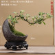 June snow bonsai white flower modeling physical Zen will old pile desktop bonsai strap potted art small ornament plants
