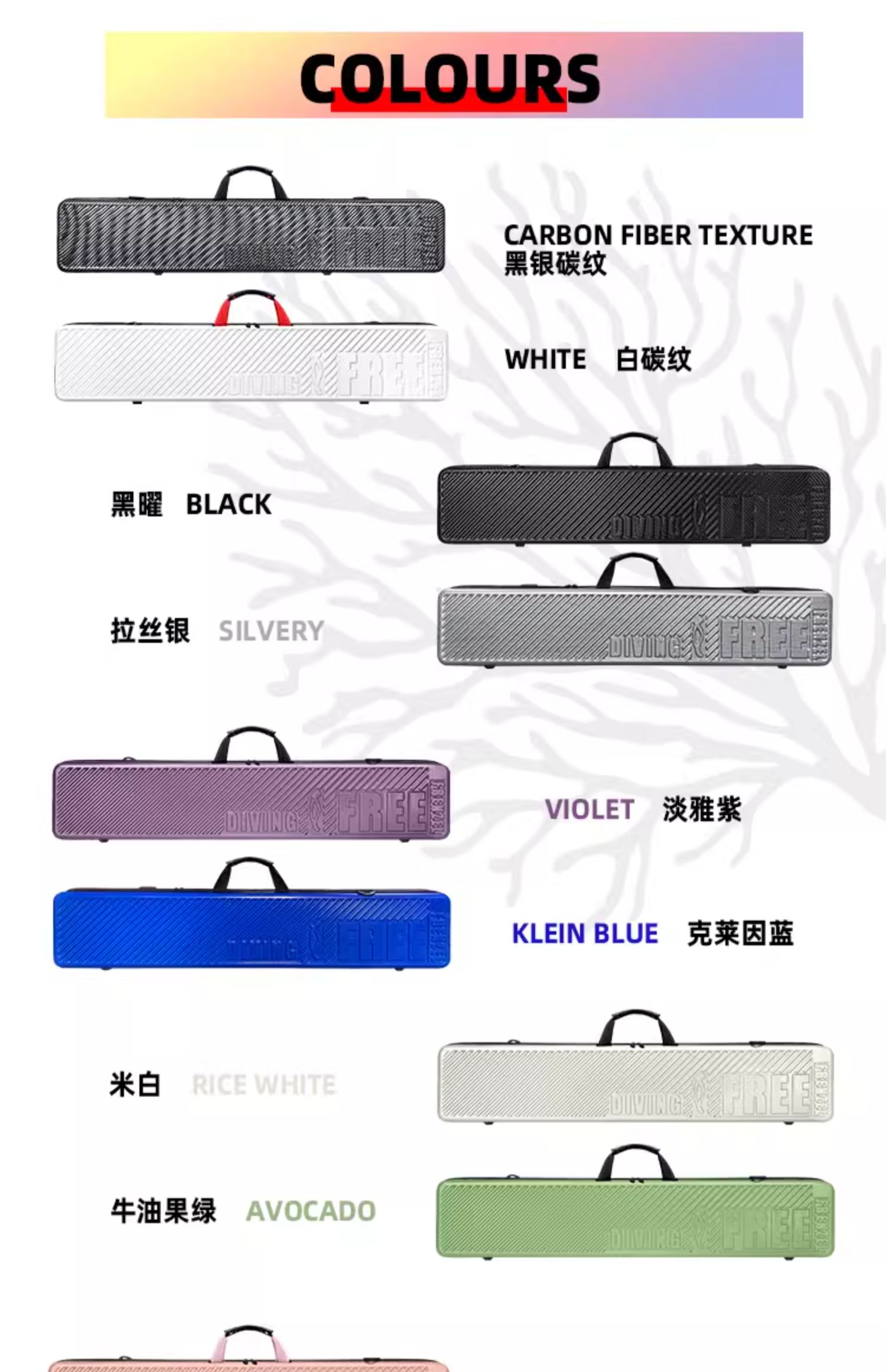 ダイビングドルフィン 秋だねぇ～It's autumn, isn't it? | 下田ドルフィンビーチ