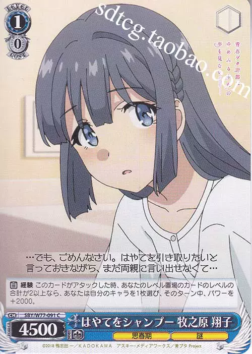 かけがえのない存在牧之原翔子RR WS 青春猪头SBY/W77-074