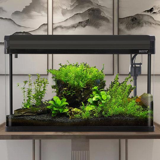 Boyu Medium Glass Goldfish Tank Ecological Aquarium