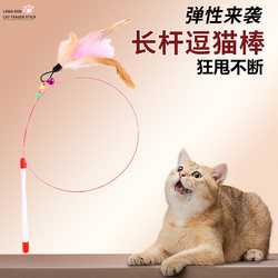 Cat Teaser Wand, Cat Toy, Self-Entertainment Boredom Buster, Extra-Long Steel Wire with Bell and Feather, Complete Cat Supplies Collection