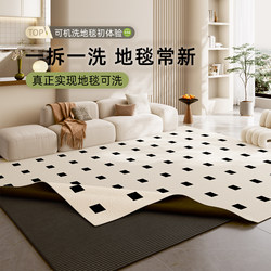 Removable and Washable Carpet for Living Room 2025 New Model Waterproof and Stain-Resistant Machine Washable High-End No-Wash Wipeable Bedroom Bedside Rug