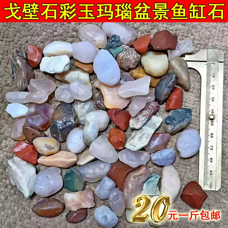 新品】阿拉善 ×20包 新品】阿拉善 ×20包