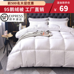 Down Quilt 95% White Goose down Winter Quilt Five-Star Hotel Goose Feather Quilt Core Winter Warm Single/Double Spring and Autumn Quilt