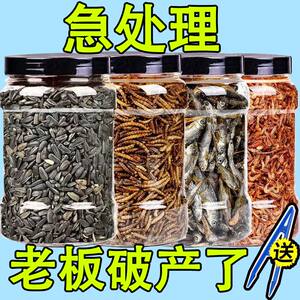 Hamster grain mealworm dried freshwater shrimp dried saltless fish nutritious grain hamster cage golden silk bear shrimp skin
