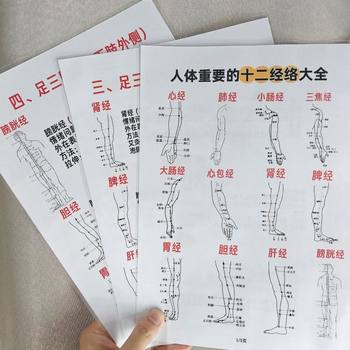 Master the basic knowledge of the twelve meridians of the human body. Open the meridians and regulate qi and blood. Traditional Chinese medicine knowledge card. A4 cognitive card.