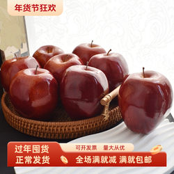 Simulated Apple Model, Fake Red Snake, Fruit and Vegetable Texture Display, First Birthday Party Decorations, Model Photography Sketching Props