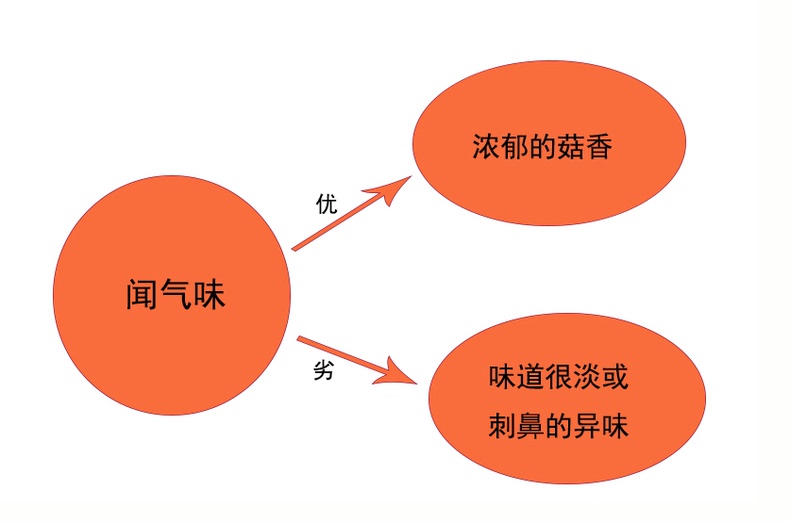 优质干香菇，营养吸收收获多多(图21)