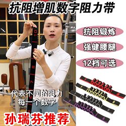 Sun Ruifen Recommends Resistance Bands for Muscle Building, Digital Resistance Bands, Elastic Bands for Middle-Aged and Elderly People to Train Gluteus Muscles and Leg Strength
