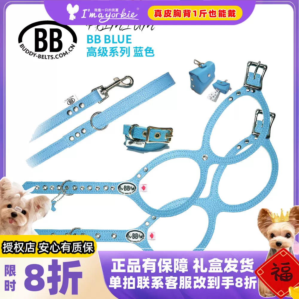 Buddy Belts加拿大bb蓝色胸背约克夏马尔济斯小型犬真皮牵引绳-Taobao