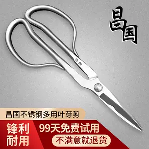 昌国No.15 根切(小) 盆栽道具