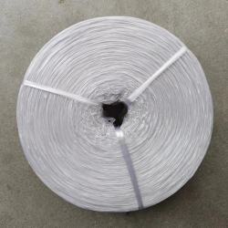 Ordinary New Material Plastic Strapping Rope Binding Packing Tape Sealing Rope Nylon Rope Tear Film White Rope Red Rope