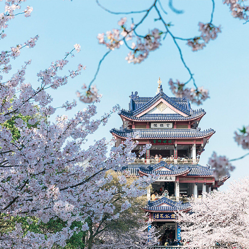 【观红嘴鸥】无锡鼋头渚太湖游船三国水浒城2天1晚跟团游豪华酒店