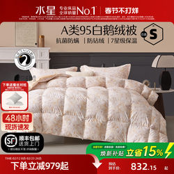 Mercury Home Textiles down Quilt 95% White Goose down Winter Quilt Thickened Warm Antibacterial Fluffy Quilt Spring and Autumn Quilt New Year Gift